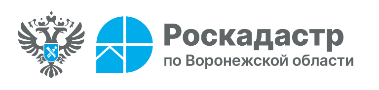 Как получить копии документов на недвижимость?.