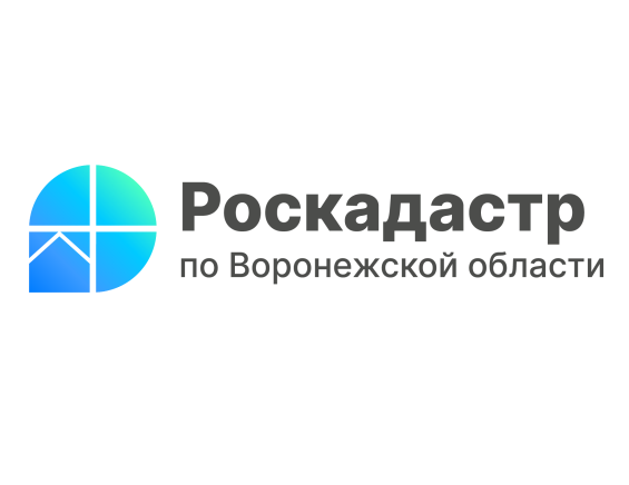 В 2025 году воронежский Роскадастр проводит комплексные кадастровые работы в отношении 184 кадастровых кварталов.