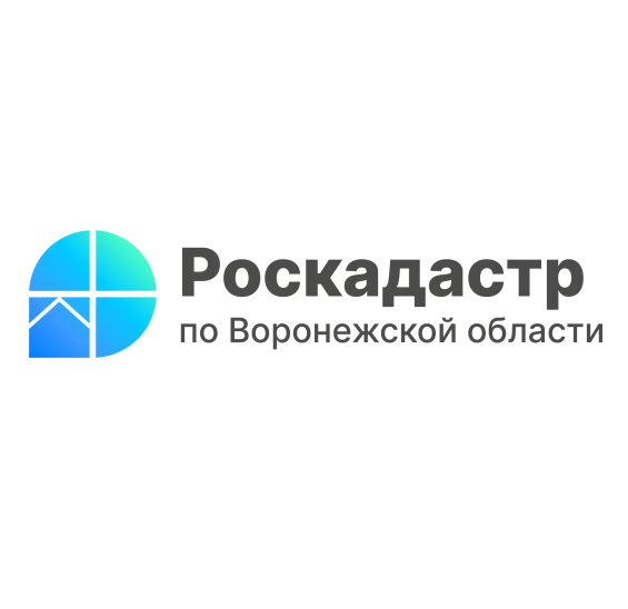 Сроки исправления ошибок в ЕГРН сокращены втрое. Сроки исправления ошибок в ЕГРН сокращены втрое.