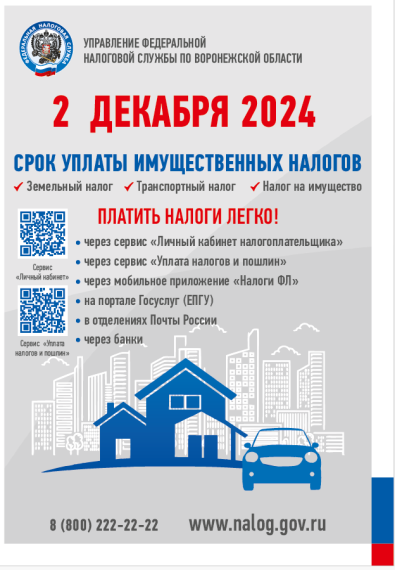 Срок уплаты имущественного налога. Срок уплаты имущественного налога.